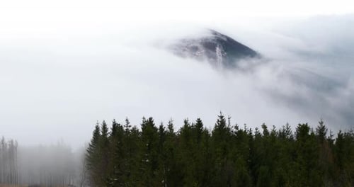 Fog advancing over the forest and surrounding hills during a sunny afternoon.