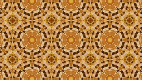 Psychedelia Dance of a Flower of a Kaleidoscope.