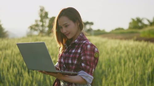 Farmer or researcher check and gather information barley rice farm field for Agricultural research