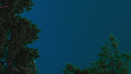 Estrellas verticales - 2K