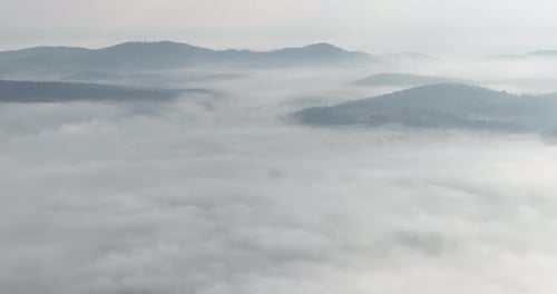 Aerial Drone Footage of Misty Fog Blowing Over Pine Tree Forest on a Beautiful Morning