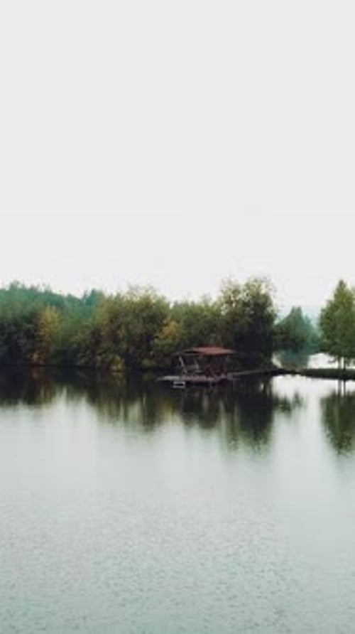 hermosa vista del río con un árbol de madera y un bosque alrededor. Paisaje de verano.