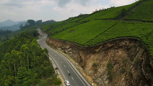 Vue aérienne par drone du paysage serein de Munnar avec ses vastes plantations de thé