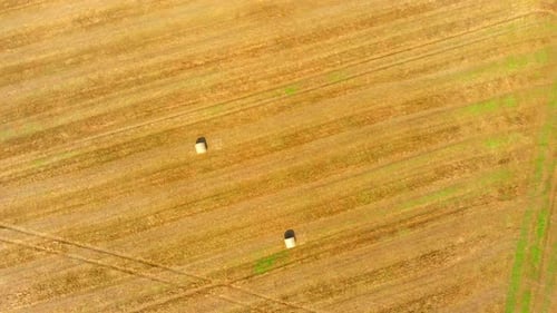Luftwirbelaufnahme von Heuballen in einem Feld.