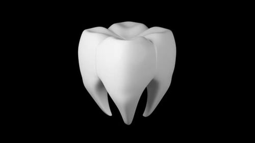 Molar Tooth Rotation Background With Seamless Loop 3D Rendering Animation. Healthy Dental Concept