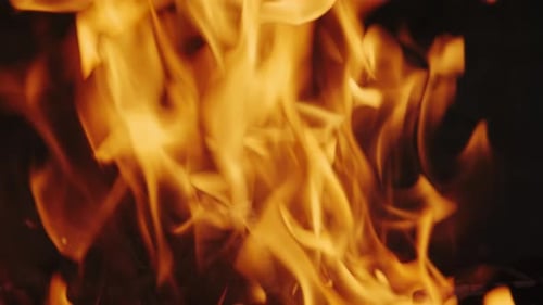 Burning Fire Flame Closeup in Fireplace