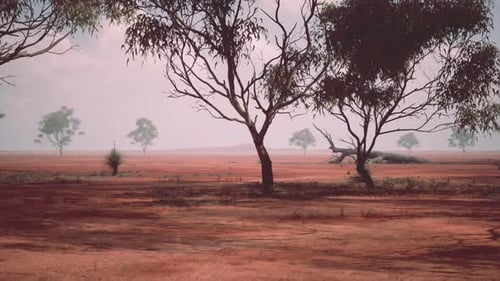 A Serene Landscape with Trees in a Vast Open Field