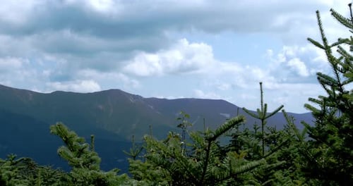 Mountain peaks lie in the distance with treetops in the foreground under a beautiful cloudy sky as c