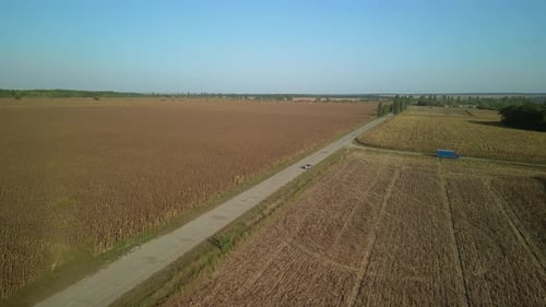 Sunflower field aerial view in Ukraine