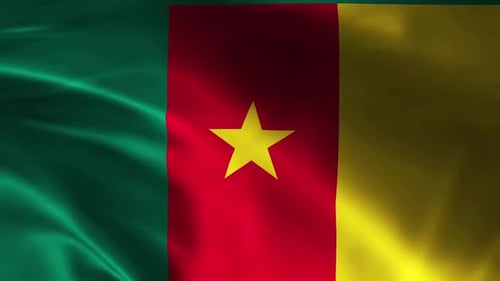 Seamless Loop of the National Flag of Cameroon Waving in the Wind