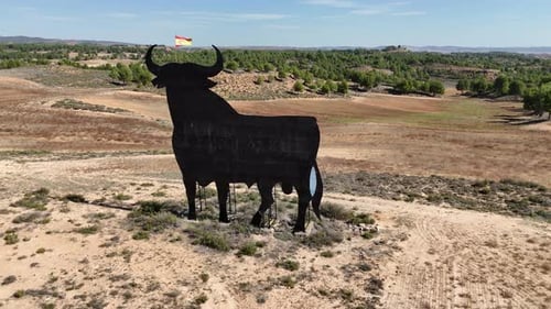 Aerial View of Bull Silhouette in Rural Landscape