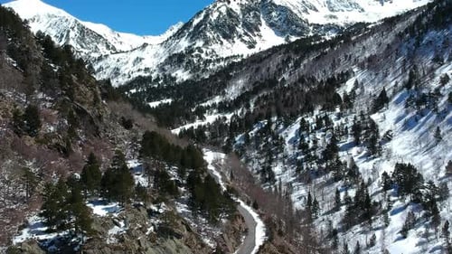 Stunning Snowy Mountain Range and Pine Forest Landscape in Winter