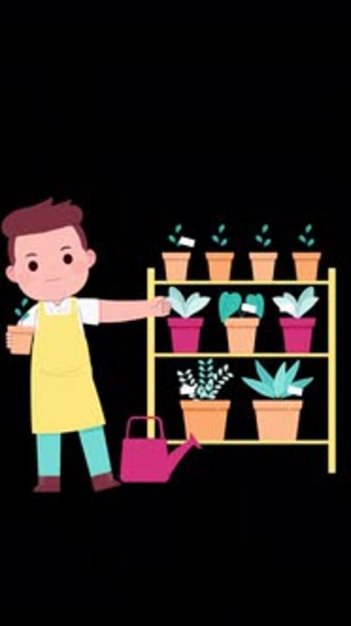 A Boy Selling Flowers In A Pot Vertical Animation Alpha Channel