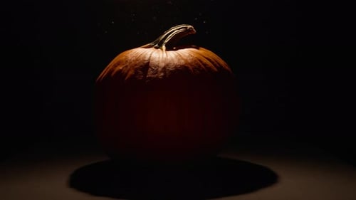 Small dust particles on a pumpkin