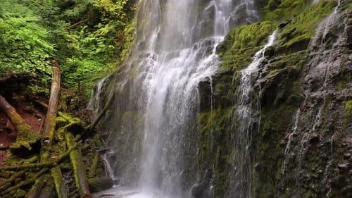 Proxy Falls in Oregon, USA