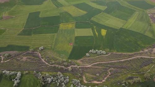Large Agricultural Lands