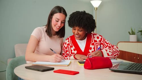 Smiling Young Adults Studying Together Indoors