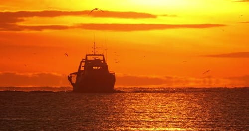 Fischerboote kehren bei Sonnenuntergang in den Hafen zurück, Frankreich