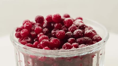 Frozen Cranberries in Snow for Tea Background Close Up of Cranberry Berries in Winter Park Ice