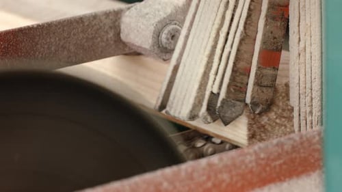Holz mit Kreissäge sägen. Nahaufnahme einer elektrischen Säge beim Sägen von Holzbrettern auf der automatisierten Linie A...
