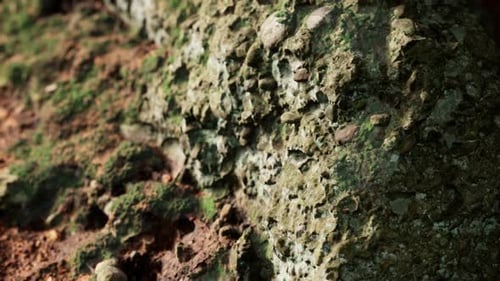 Close Up of Rocky Stones Formation
