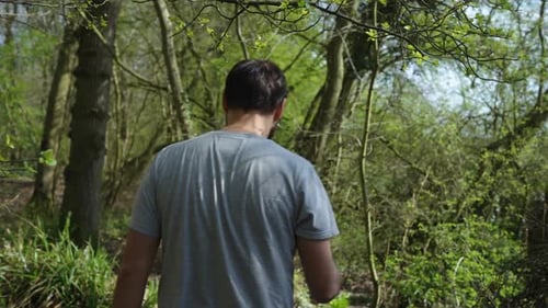 Family walks through forest exploring on sunny day, mid angle slow motion
