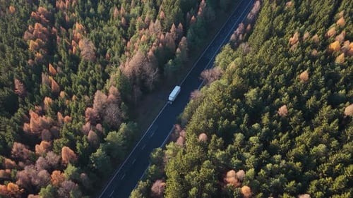 Aerial View: Cars and Truck Drive Through Autumn Forest