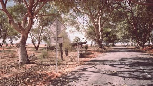 A Scenic Road with Trees and a Sign on the Side