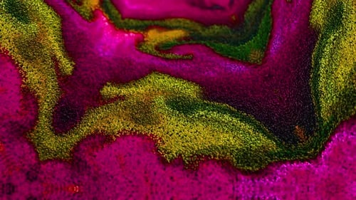 Abstract Multicolored background