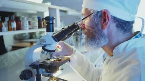 Wissenschaftler analysieren Probe mit Mikroskop im Labor