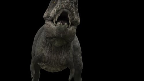 Animated 3D Tyrannosaurus Rex Walking on Black Background