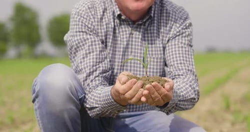 Man Holds Tiny Sprout on Farm