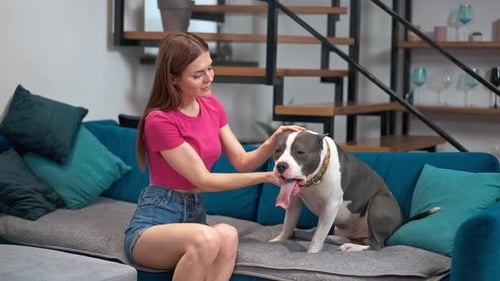 Young Woman Petting Dog on a Couch