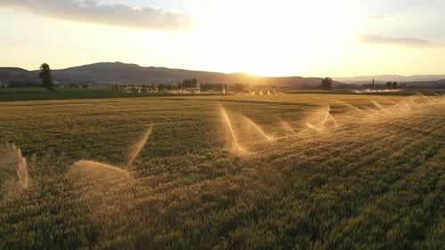 Aerial View Of Irrigation Of Farmland At Sunset