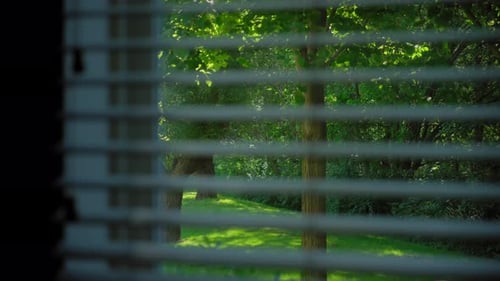 Shot of Sun Shining Through Window Blinds and Green Trees in the Background in Morning Time