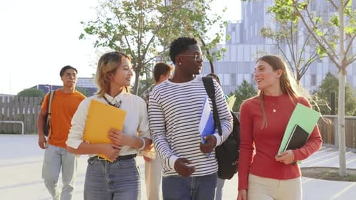 Big Group of Multiracial Students Walking Together at University Campus Happy Internacional