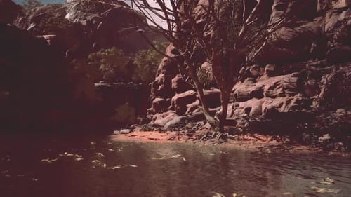 Grand Canyon and Colorado River
