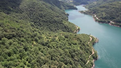 Aerial Lake and Forest