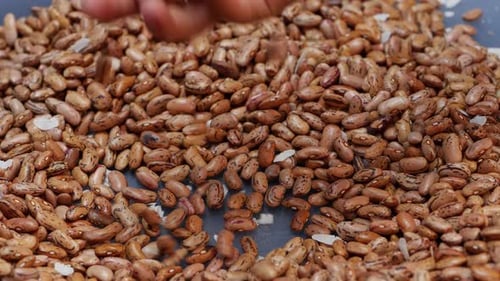 Beans are a city's staple food - close up and on a table
