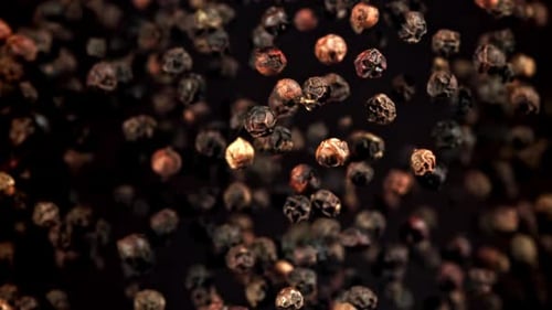 Black Pepper Flies Up and Falls Down Filmed on a Highspeed Camera at 1000 Fps