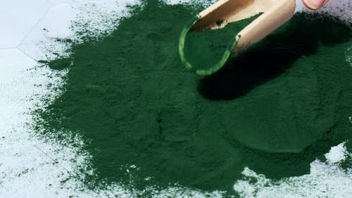 Bluegreen Algae Chlorella and Spirulina Powder