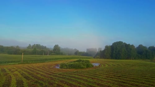 Aerial View of Rural Field with Pond