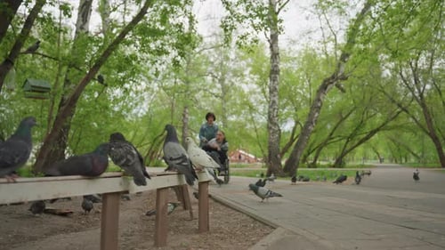 Birds Rest Peacefully Park Scene With Gentle Interaction Urban Nature Setting With Calming Elements