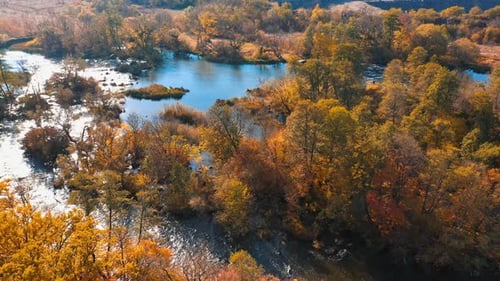 Autumn forest river landscape. Aerial view of the autumn forest and river