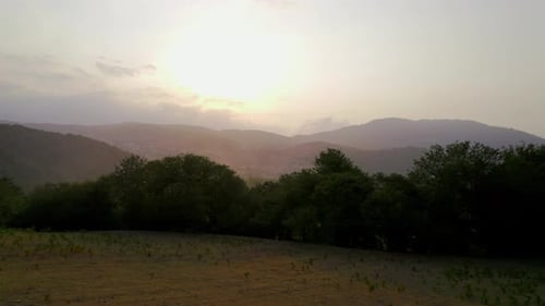 Beautiful forest and mountain