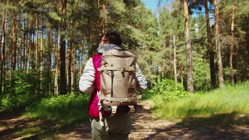 Asian Man Tourist Walking in Forest