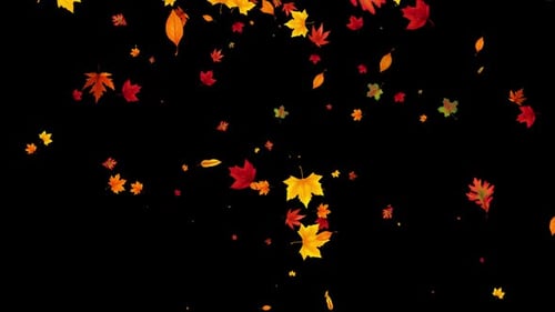 Fallende Herbstblätter