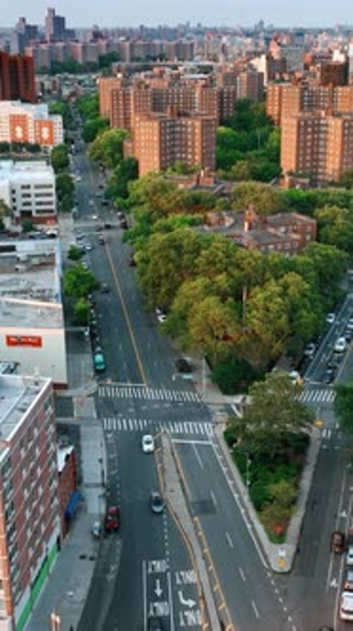 Two highways merge into one. Busy roads around the green residential area. New York cityscape