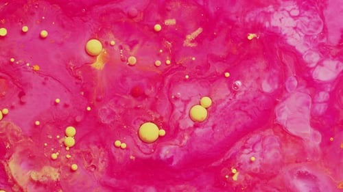 Abstract Close Up Texture of Oil with Red, Yellow and Pink Paint Abstract