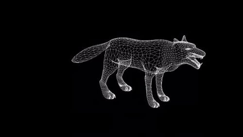 Geometric 3D Wireframe Wolf Model Rotating Animation